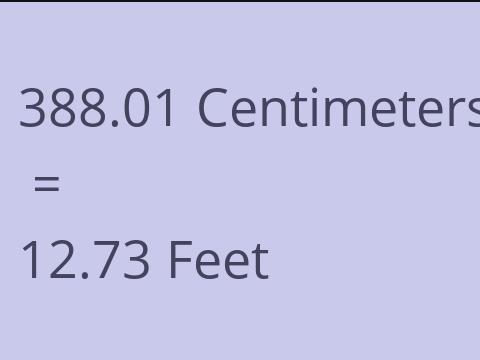 388.01 CM TO FEET