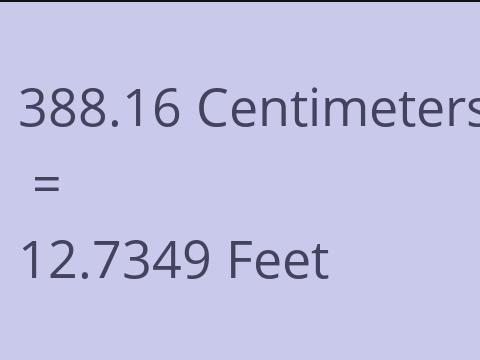 388.16 CM TO FEET