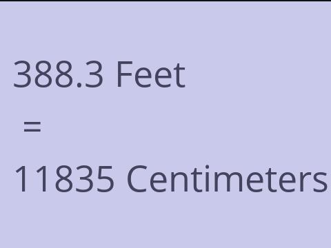 388.3 FEET TO CM