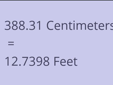 388.31 CM TO FEET