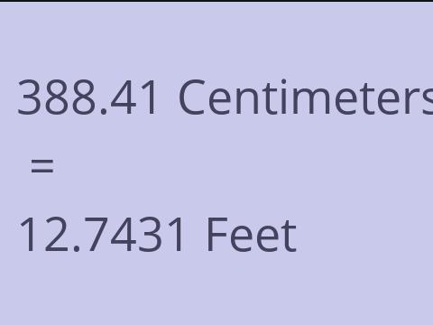 388.41 CM TO FEET