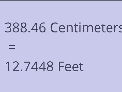 388.46 CM TO FEET