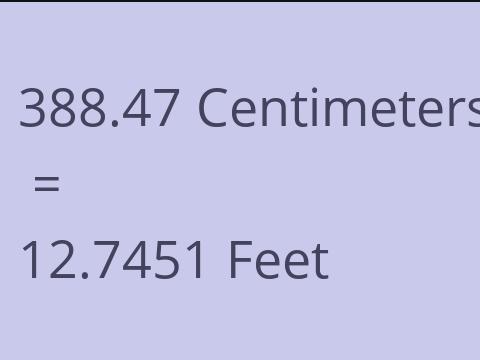 388.47 CM TO FEET