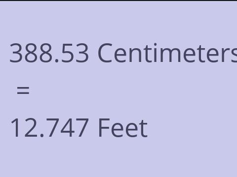 388.53 CM TO FEET