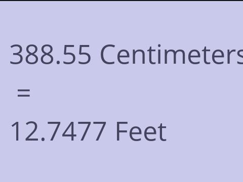 388.55 CM TO FEET