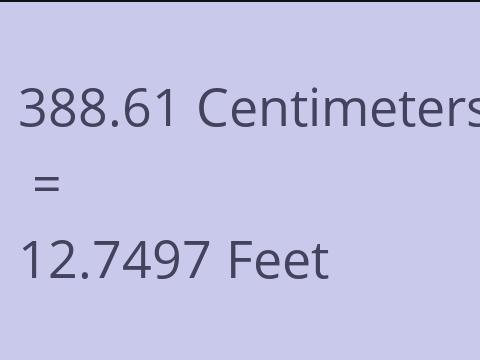 388.61 CM TO FEET