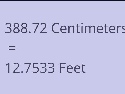 388.72 CM TO FEET