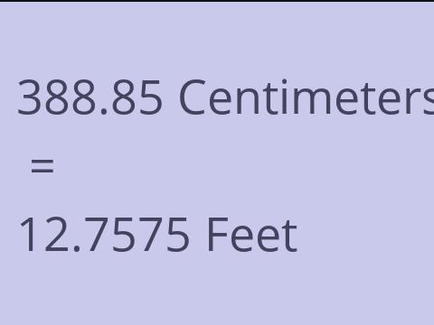 388.85 CM TO FEET