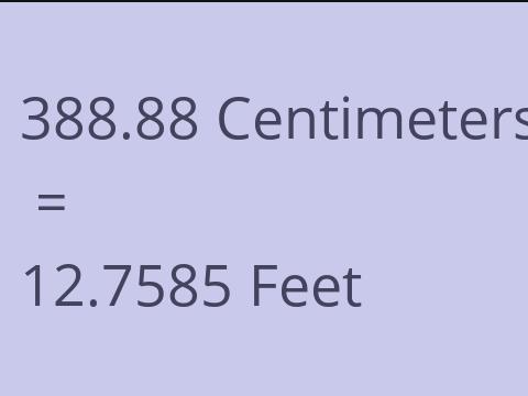 388.88 CM TO FEET