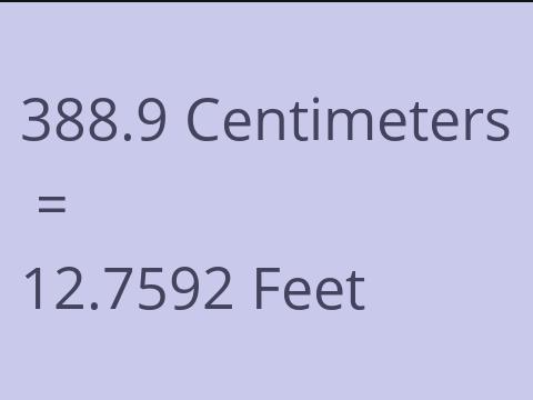 388.9 CM TO FEET