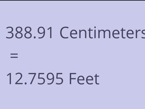 388.91 CM TO FEET