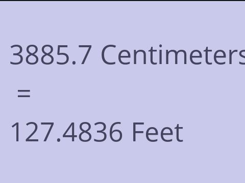 3885.7 CM TO FEET