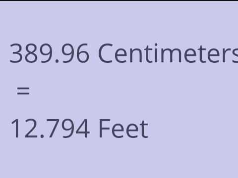 389.96 CM TO FEET