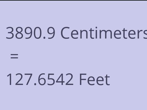 3890.9 CM TO FEET