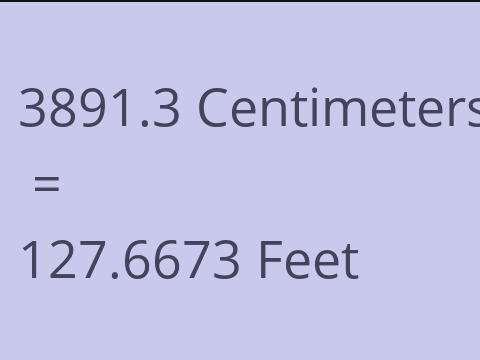 3891.3 CM TO FEET