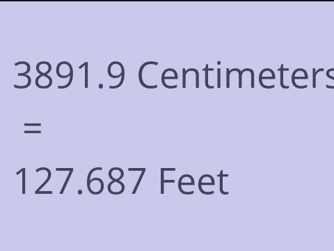 3891.9 CM TO FEET