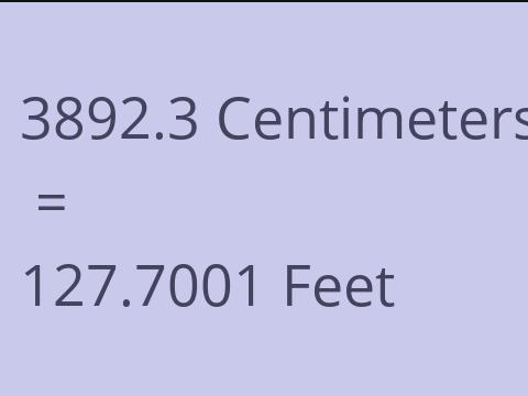 3892.3 CM TO FEET