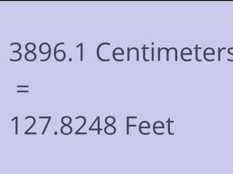 3896.1 CM TO FEET