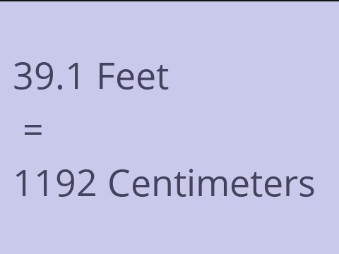 39.1 FEET TO CM