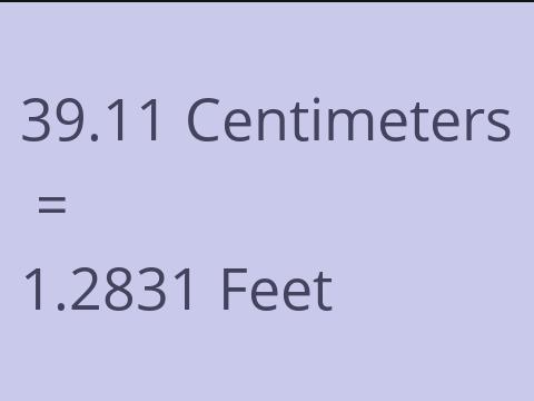 39.11 CM TO FEET