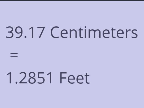 39.17 CM TO FEET