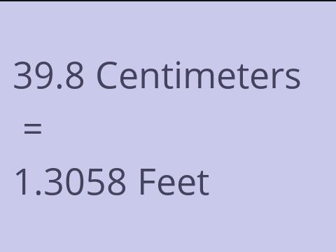 39.8 CM TO FEET