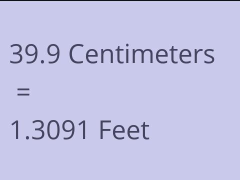 39.9 CM TO FEET