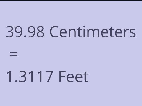 39.98 CM TO FEET