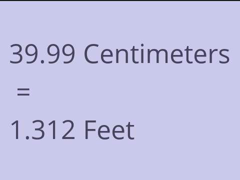 39.99 CM TO FEET