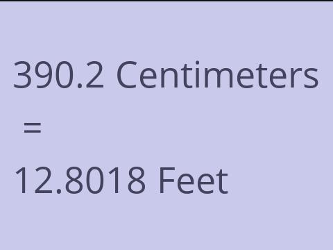 390.2 CM TO FEET