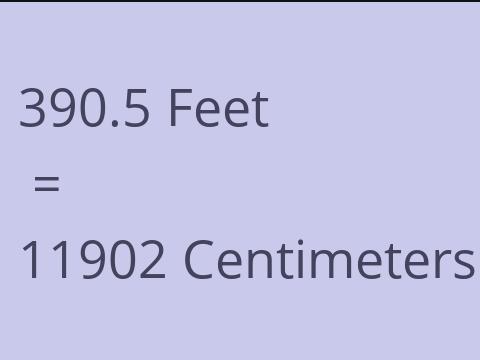 390.5 FEET TO CM