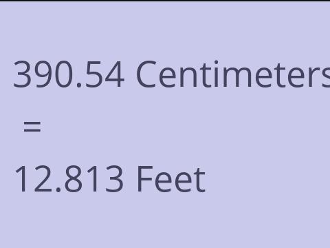 390.54 CM TO FEET