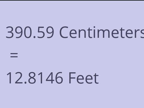 390.59 CM TO FEET