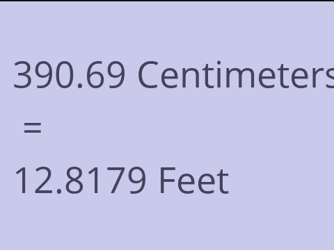 390.69 CM TO FEET