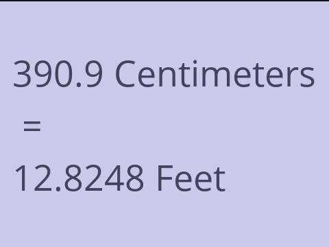 390.9 CM TO FEET