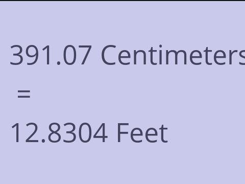 391.07 CM TO FEET