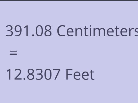 391.08 CM TO FEET