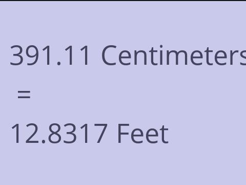 391.11 CM TO FEET