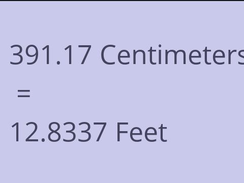 391.17 CM TO FEET