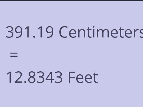 391.19 CM TO FEET