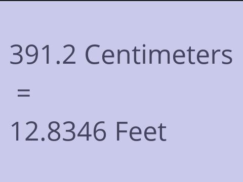 391.2 CM TO FEET