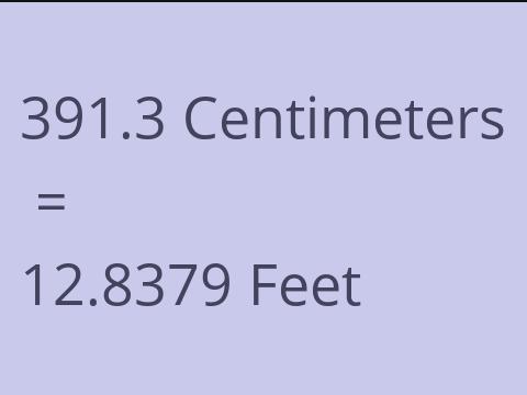 391.3 CM TO FEET