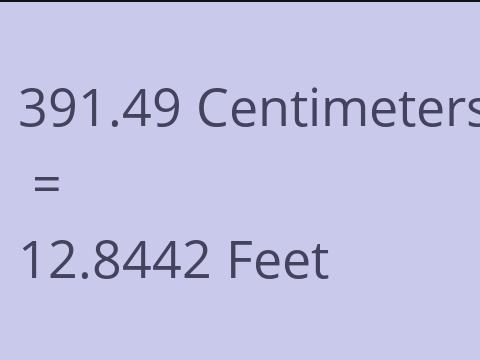 391.49 CM TO FEET