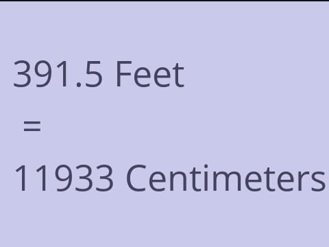 391.5 FEET TO CM