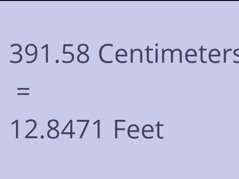 391.58 CM TO FEET