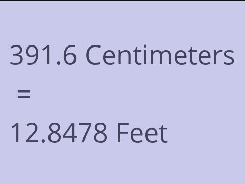 391.6 CM TO FEET