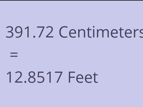 391.72 CM TO FEET