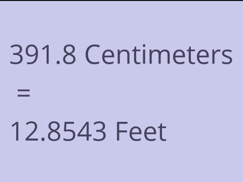 391.8 CM TO FEET