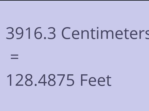 3916.3 CM TO FEET