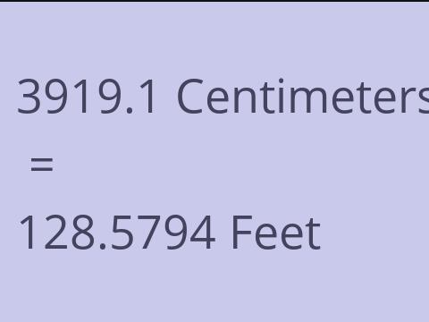 3919.1 CM TO FEET
